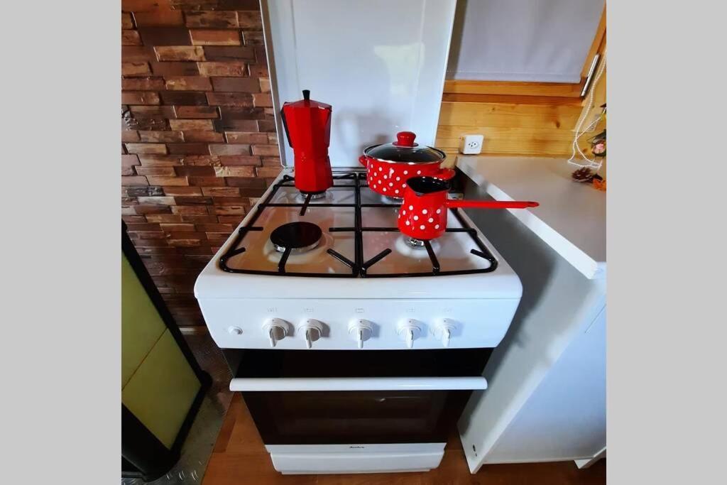 Autarkes Tiny House Mit Rheinblick Apartman Rumikon Kültér fotó